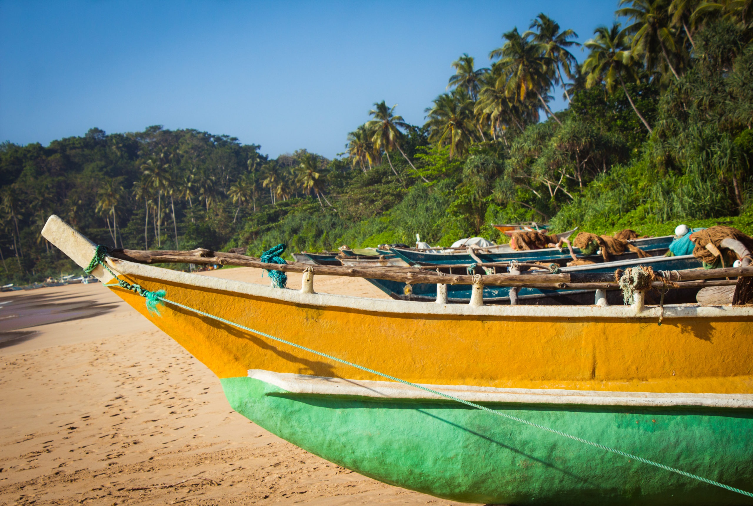 fishing-boat-tropical-beach-with-palm-trees